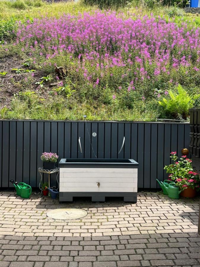 Modernes Top Apartment Mitten Im Bayerischen Wald + Wlan Kostenfrei Schofweg Exterior photo