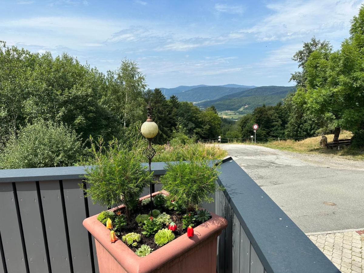 Modernes Top Apartment Mitten Im Bayerischen Wald + Wlan Kostenfrei Schofweg Exterior photo
